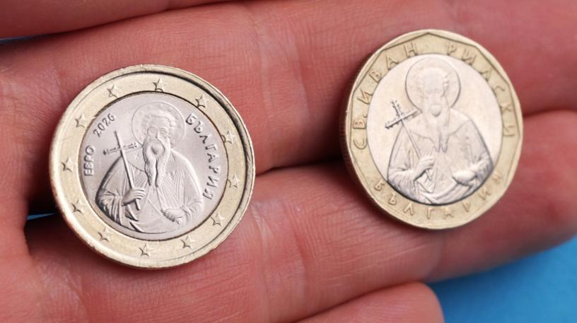 1 лев отблизо