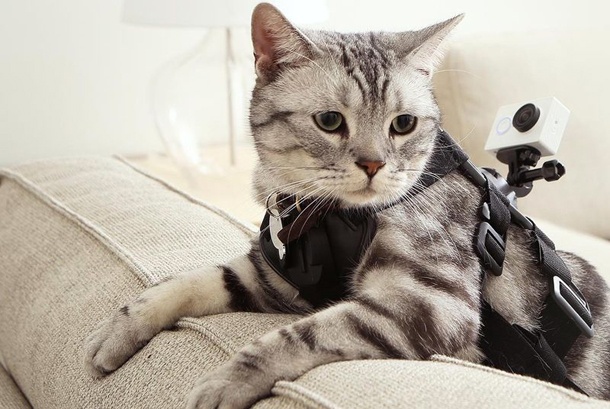 Xiaomi предизвиква GoPro Hero с нова камера за 64 долара