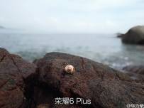 Снимки от двойната камера на Huawei Honor 6 Plus