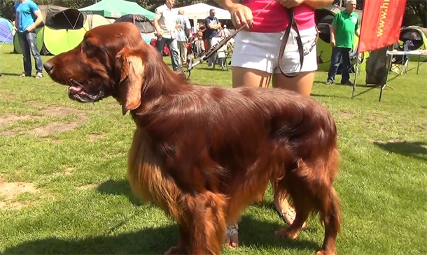 Тези клипове може би са заснети с Nokia Lumia 1020