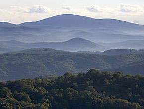 GLOBUL и WWF организират Ден на отворените врати в природните паркове