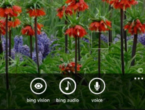Ъпдейтът Mango за Windows Phone може да добави и визуална гласова поща