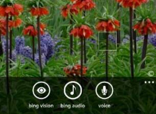 Ъпдейтът Mango за Windows Phone може да добави и визуална гласова поща