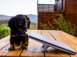 SpaceX пуска портативния комплект Starlink Mini