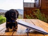 SpaceX пуска портативния комплект Starlink Mini