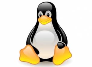 Google може би използва неправомерно код от Linux?