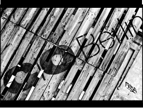 Leica подготвя изненади за 10 май