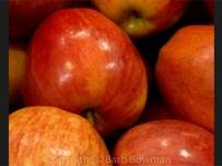 Microsoft няма да интегрира Facebook и Flickr в галерията на Windows 8.1