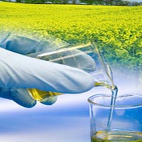 Биогорива осигуряват мобилна връзка в Индия