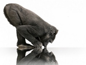 Samsung Galaxy S2 също ще има стъкло Gorilla