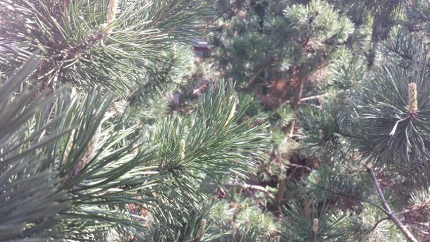 Появи се снимка, може би направена с Galaxy Note III