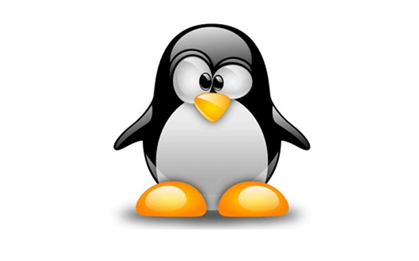 Появи се червей, който атакува устройствата с Linux, свързани към интернет