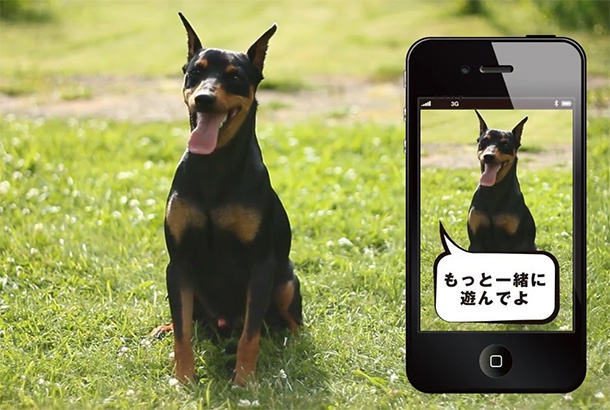 Японско мобилно устройство за домашни любимци следи поведението им