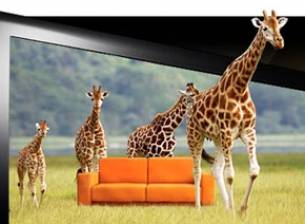VIVACOM TV започва да предлага безплатни HD канали