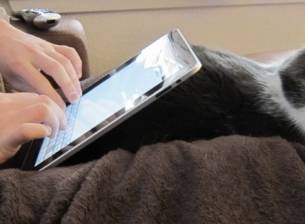 Потребителите на iPad продължават да са най-активни в интернет