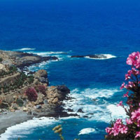 Телефонът на всички времена - участвай и спечели екзотична екскурзия!