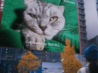 Вашият телефон поддържа 320MP камера, но ...