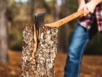 Анкета: Кой е най-добрият убиец на флагмани за 2023?