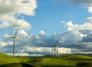 Lenovo отбелязва Деня на Земята с амбициозни цели за следващото десетилетие