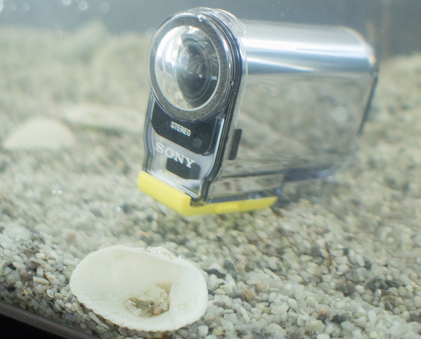 Sony Action Cam HDR-AS100VR успешно предизвиква GoPro