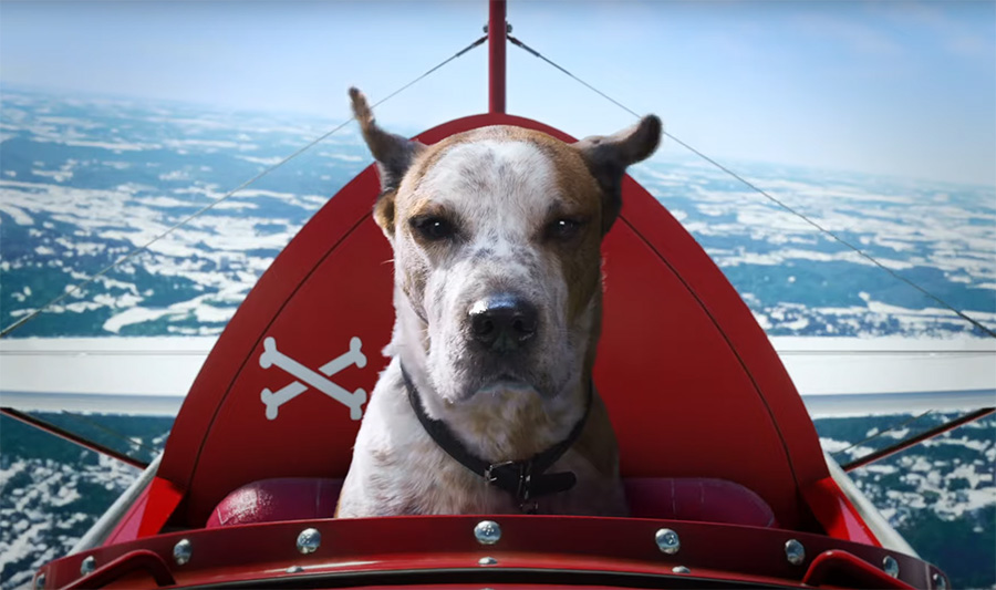 Кучетата имат главна роля в празничната реклама на Microsoft 