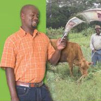 Ръст в паричните преводи чрез мобилен телефон