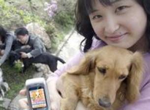 Превод от кучешки