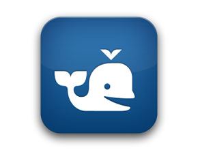 Beluga спира услугите си на 11 ноември