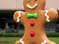 Nexus One ще получи Android 2.3 в близките дни?