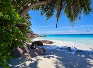 Vivacom направи голяма промяна в условията на World TravelPass