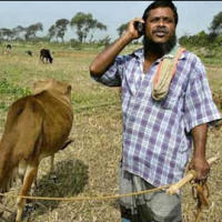 Продажбите на бюджетни телефони тепърва ще се увеличават