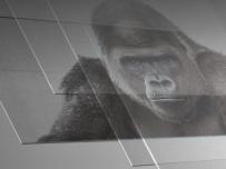 Какво представлява Gorilla Glass?