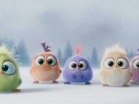 Коледен поздрав от Angry Birds