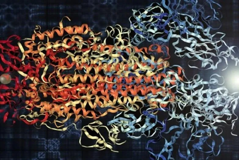 Учени превърнаха структурата на коронавируса в музика