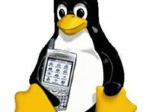 Linux стандартизация