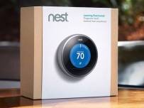 Nest може би ще разкаже за плановете си за развитие на 17 юни