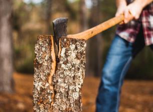 Анкета: Кой е най-добрият убиец на флагмани за 2025?