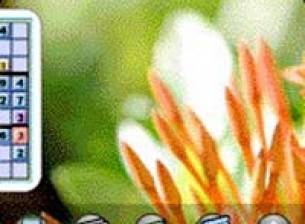 webOS скин за Palm OS