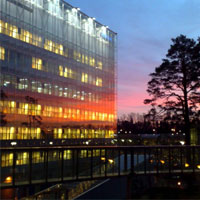 Nokia в началото на годината