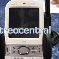 Palm Centro в бяло