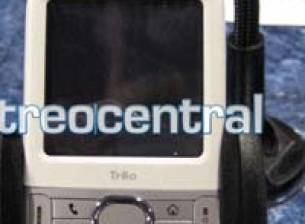 Palm Centro в бяло