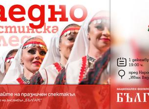 A1 подарява коледен спектакъл на София 