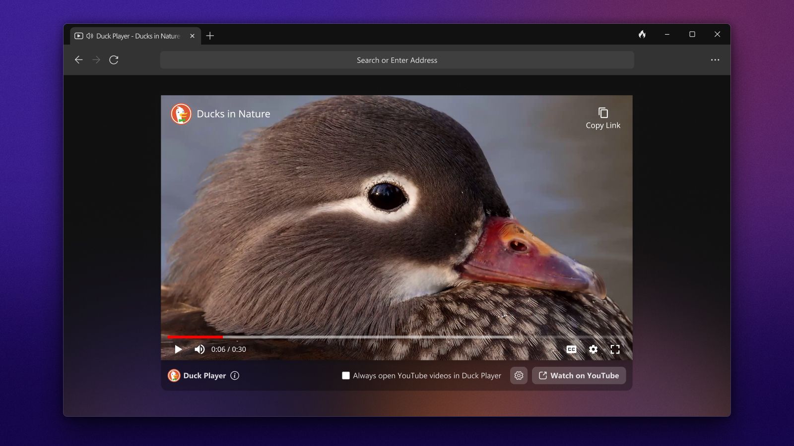 DuckDuckGo вече има версия за Windows