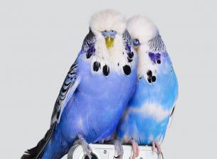 Тийзър показва част от телефона на Nothing