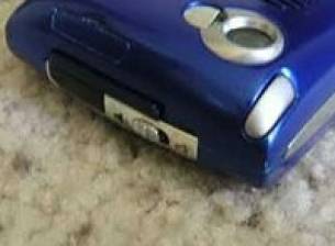 Снимки на Palm Hollywood?