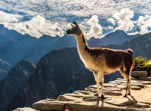 Winamp се завръща с нова версия