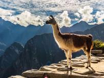 Winamp се завръща с нова версия