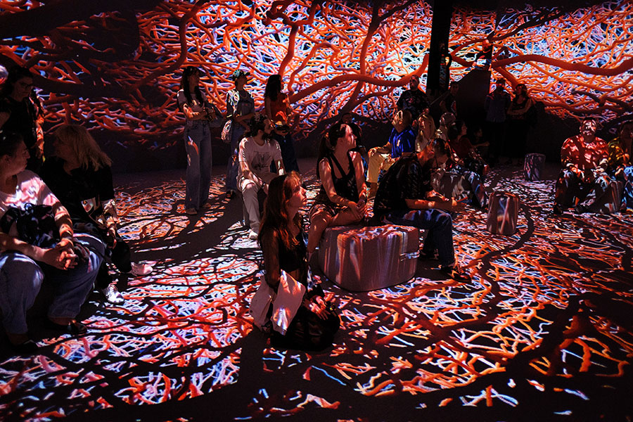 Отвори първото имерсивно пространство за дигитално изкуство у нас