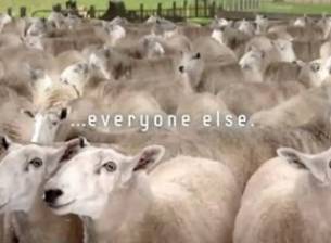 В първото видео за Samsung Galaxy S III има овце