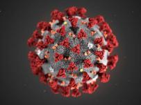 Виртуален вирус пресъздава моделите на разпространение на COVID-19